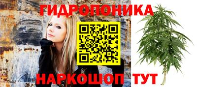 a pvp Гусев